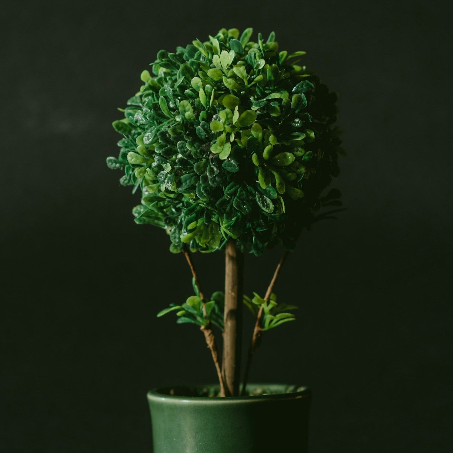 Fake plant (FEJKA or similar)