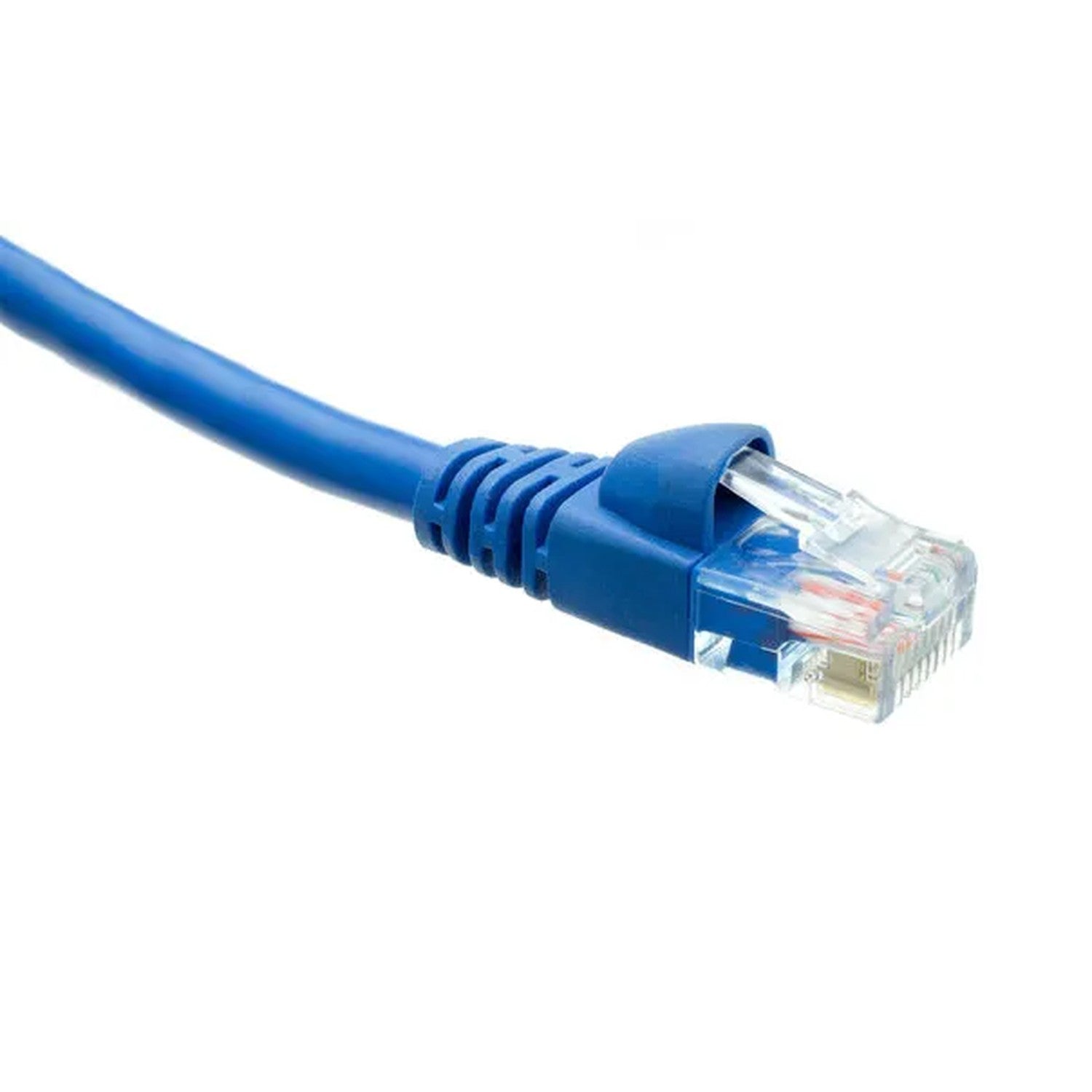 Ethernet - 50' (Blue)